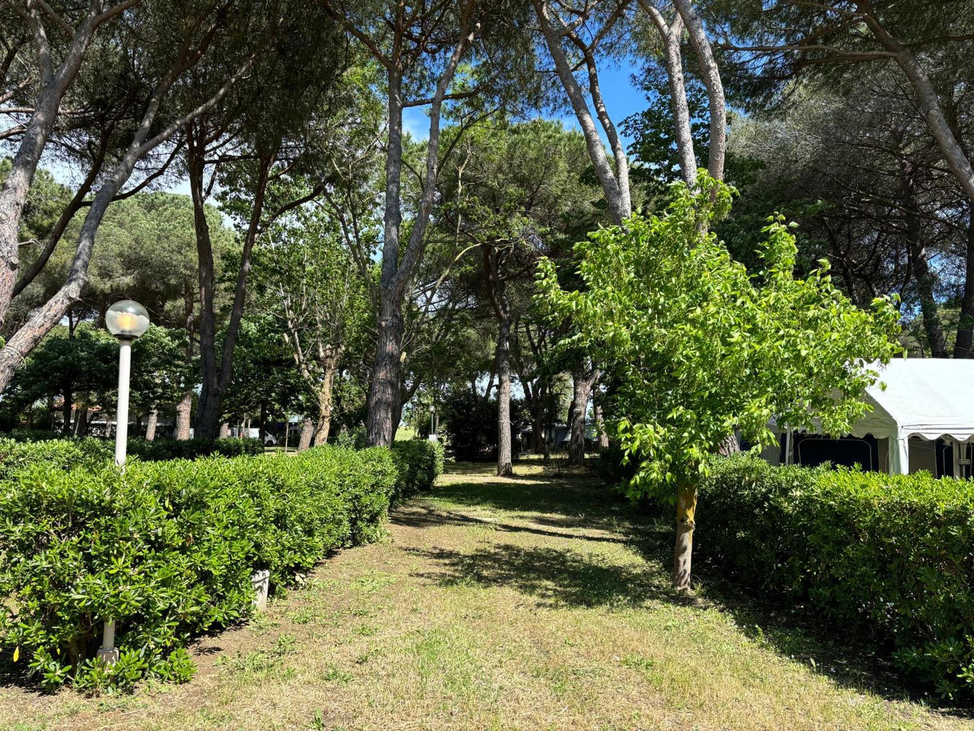 Costa D'Argento - Camping Village Club Capalbio Exterior photo
